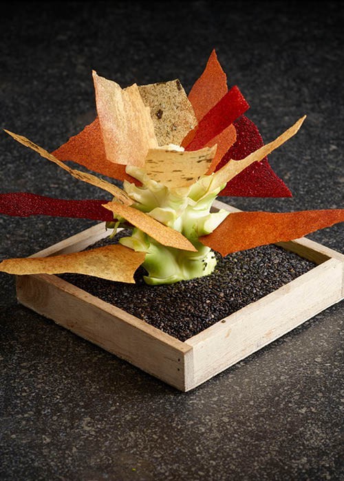 Broccoli tree with Vegetable Sheets