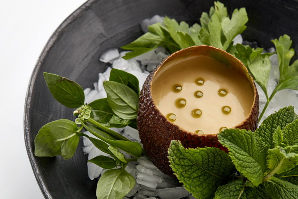 Avocado Gazpacho